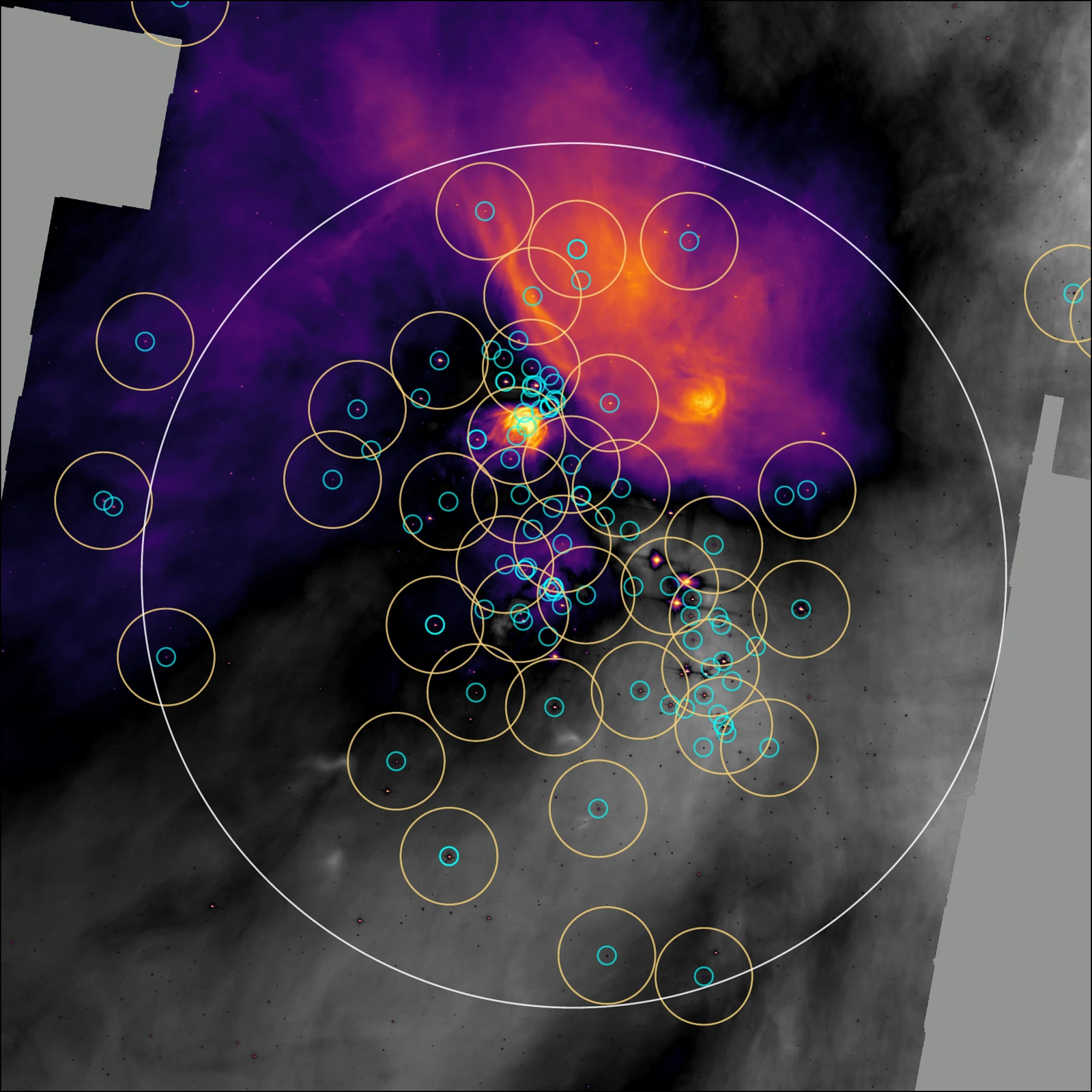 Map of resolved protoplanetary disks in the Ophiuchus star-forming region.
