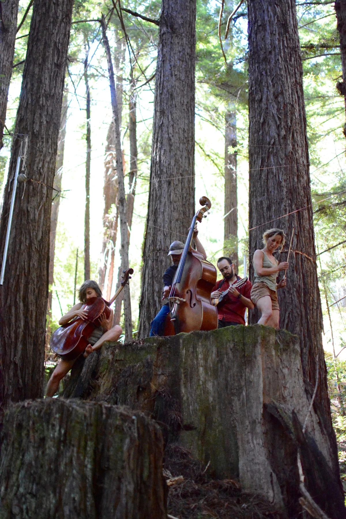 Musicians and performers playing on an old redwood stump during the Djerassi residency
